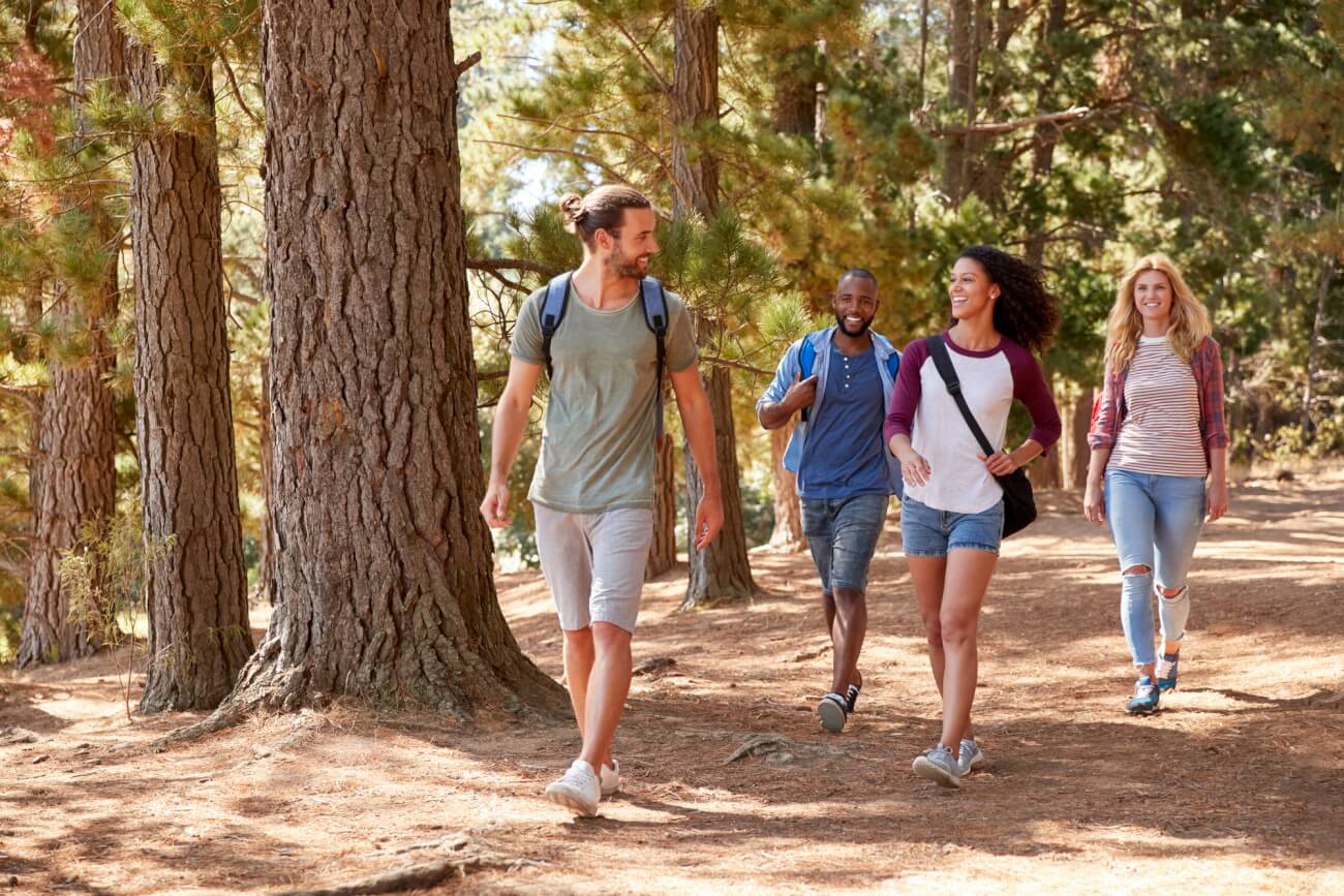 Group Of Young Friends On Hiking Adventure In Countryside